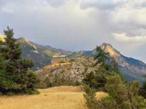 WhatsApp Image 2025-09-08 at 10.27.43 (1)